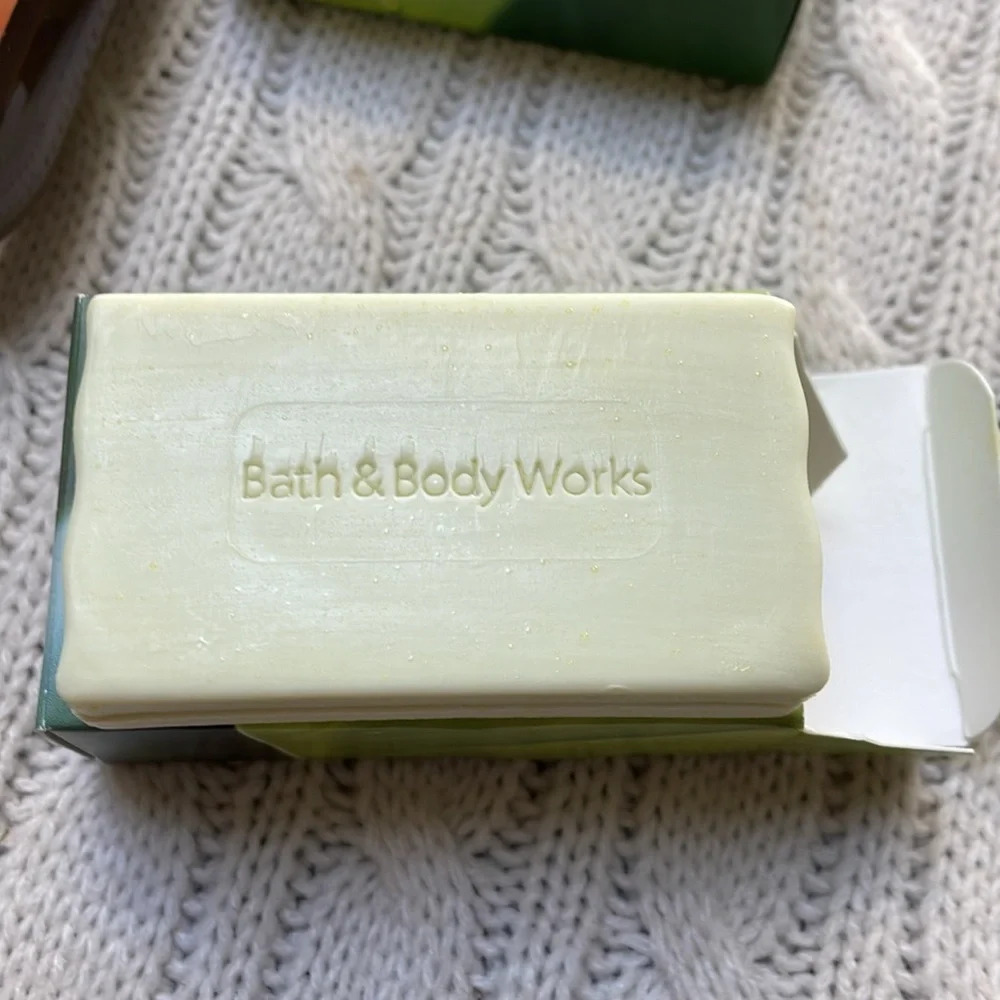 NWOT BBW shower gel and bar soap. Summertime Surf & Rain kissed leaves - Picture 5 of 5